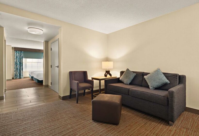 酒店 Hilton Garden Inn Williamsburg