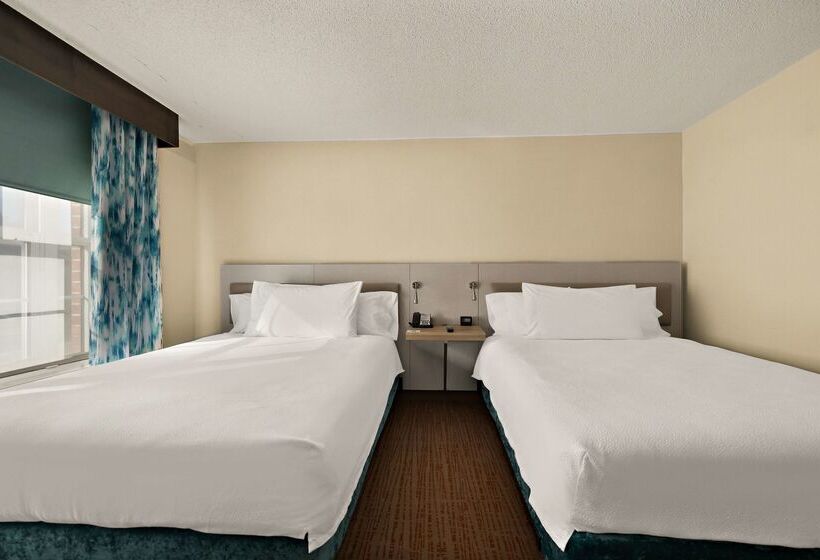 酒店 Hilton Garden Inn Williamsburg