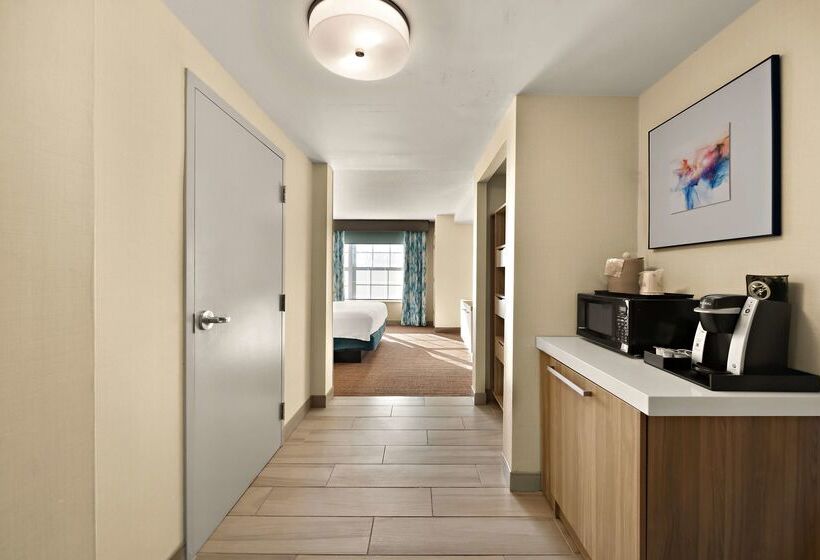 酒店 Hilton Garden Inn Williamsburg