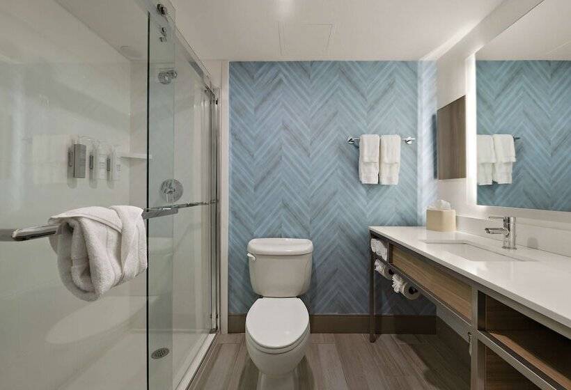 酒店 Hilton Garden Inn Williamsburg