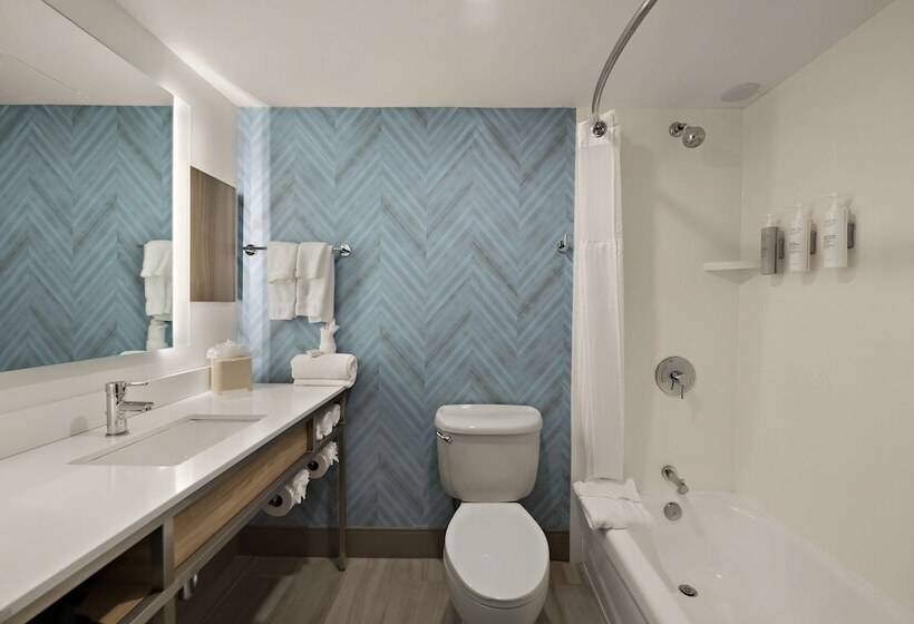 酒店 Hilton Garden Inn Williamsburg