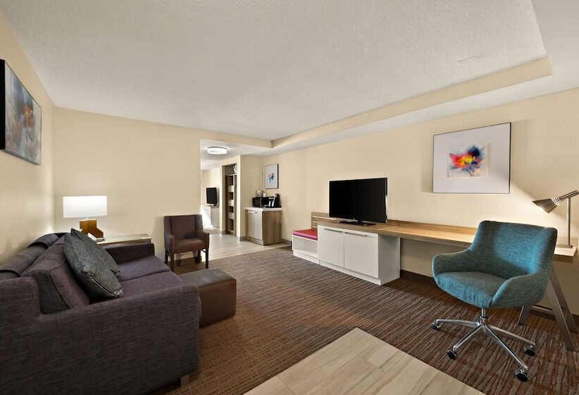 酒店 Hilton Garden Inn Williamsburg