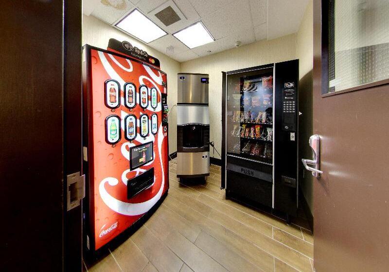 Holiday Inn Express Hotel & Suites   Edmonton International Airport, An Ihg