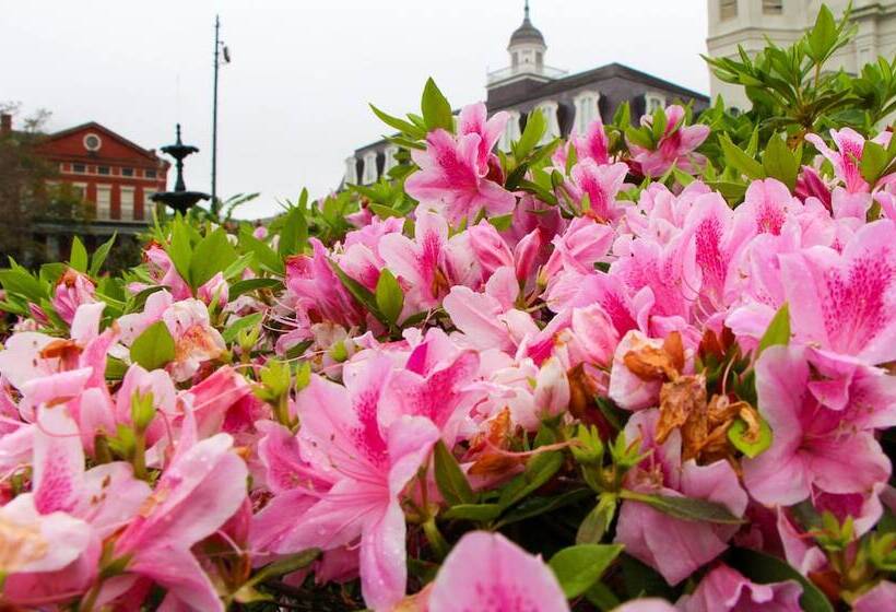 酒店 Holiday Inn Express New Orleans   St Charles, An Ihg