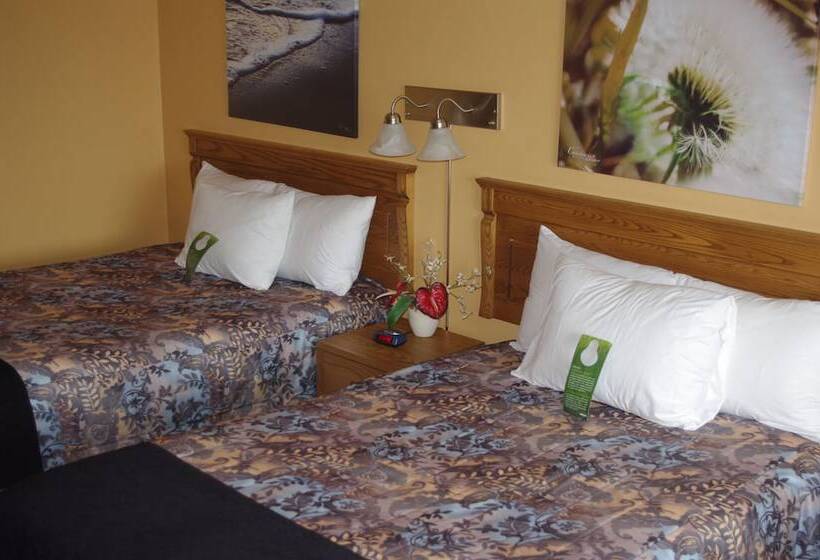 호텔 Hôtel Les Mouettes