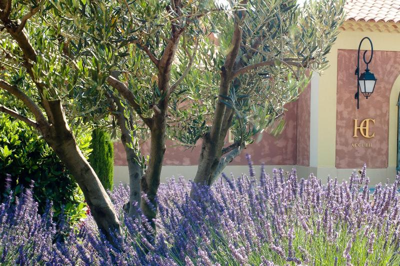 Отель L'Hôtel & Spa du Castellet