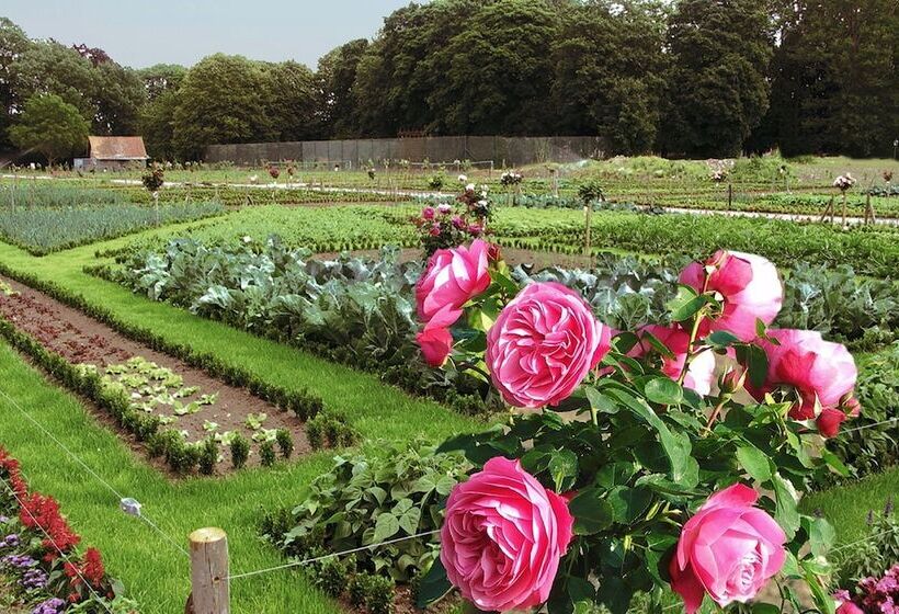 호텔 La Chartreuse Du Val Saint Esprit