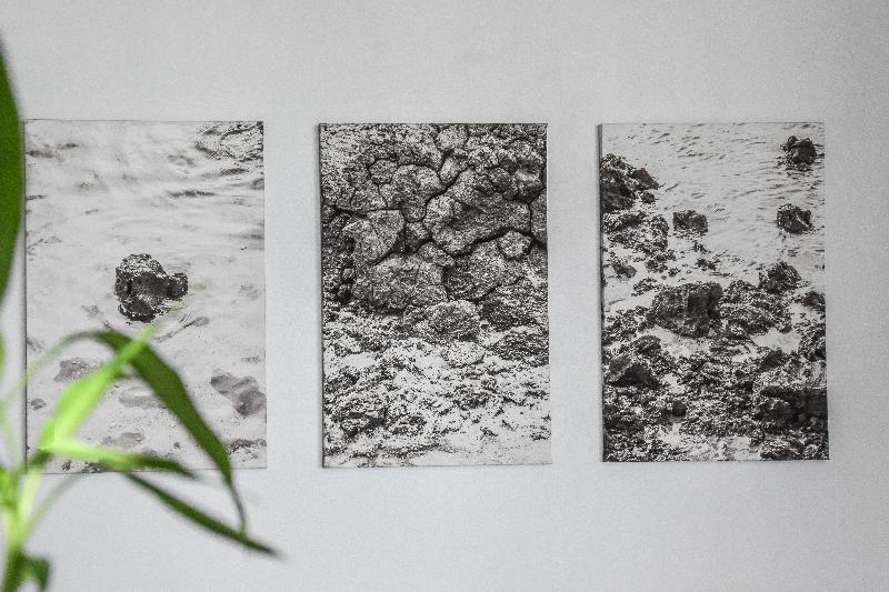 La Isla Y El Mar, Hotel Boutique