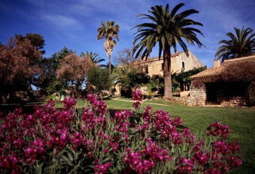 ホテル Rotana Golf Resort