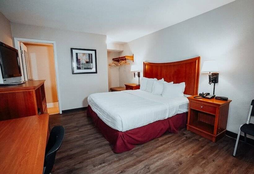 فندق Lamplighter Inn And Suites  North