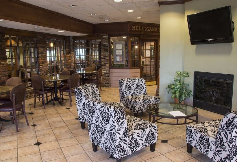 فندق Lamplighter Inn And Suites  North