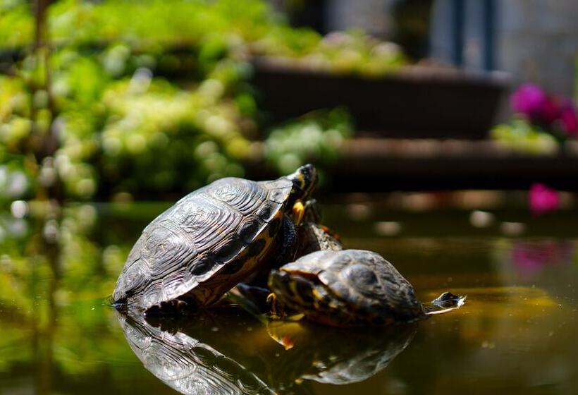 בית מלון כפרי Les Jardins De La Molignee