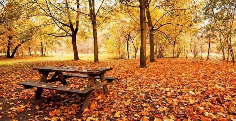 Logis Gourmet & Relax Hotel De La Sure