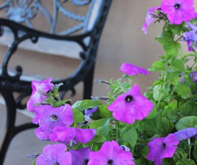 Отель Moab Valley Inn