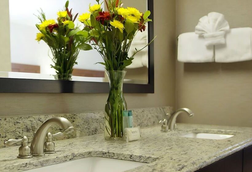 Отель Moab Valley Inn