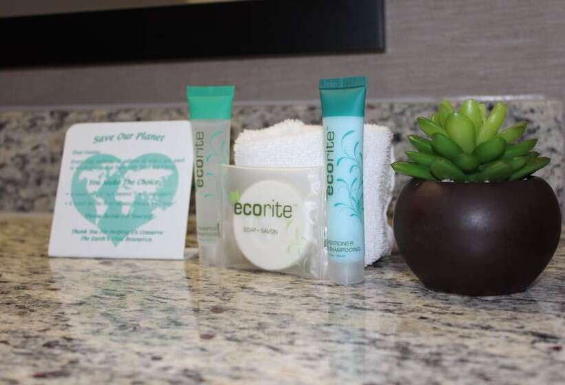 Отель Moab Valley Inn