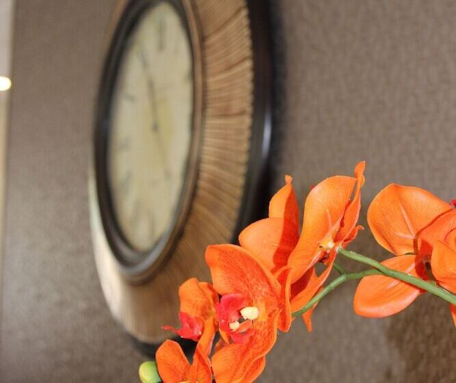 Отель Moab Valley Inn