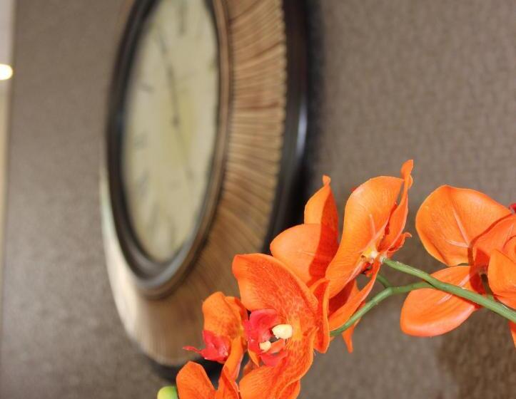 Отель Moab Valley Inn