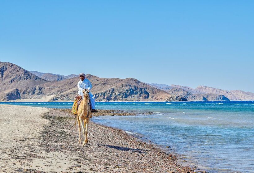 ホテル Mosaique Beach Resort Taba Heights