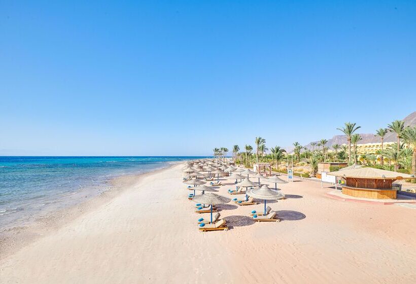 ホテル Mosaique Beach Resort Taba Heights