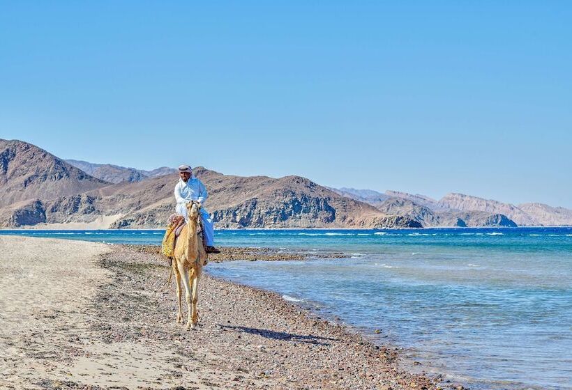 ホテル Mosaique Beach Resort Taba Heights