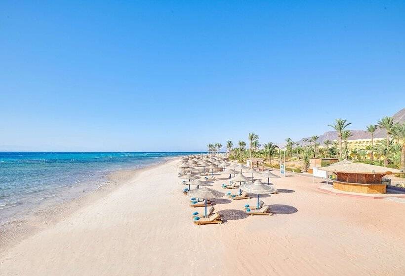 ホテル Mosaique Beach Resort Taba Heights