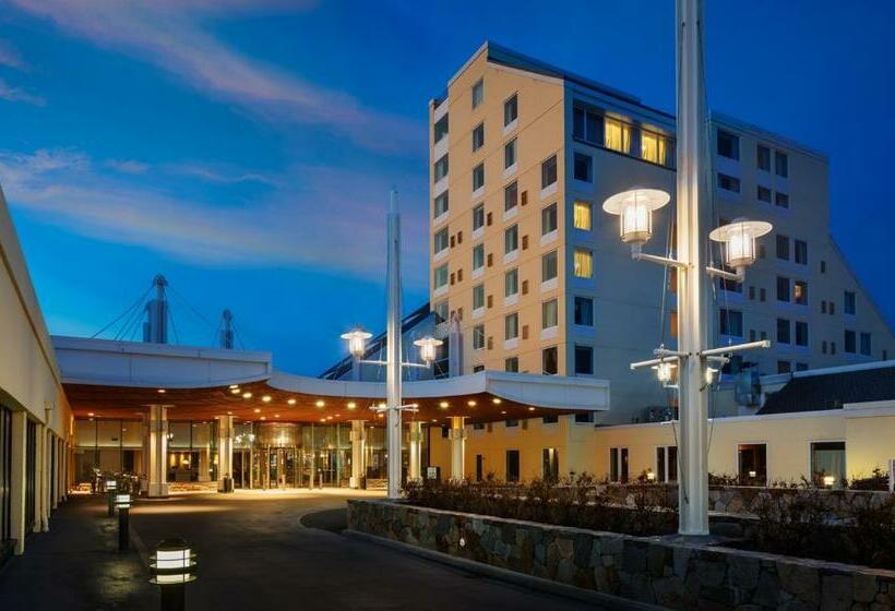 فندق Newport Harbor Island Resort