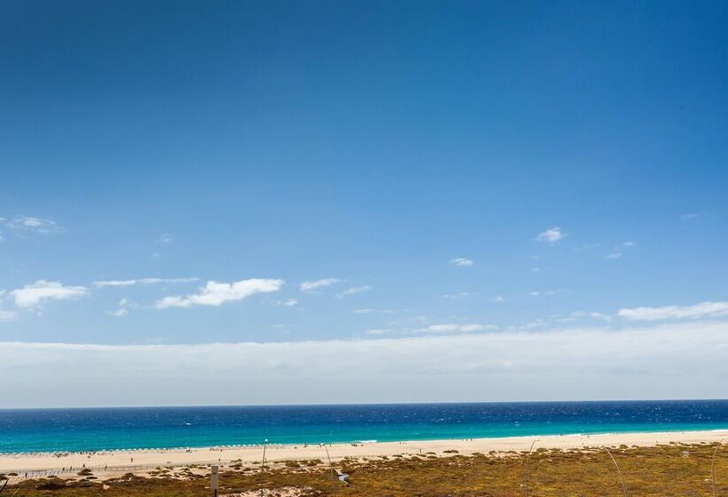 酒店 Occidental Jandia Playa