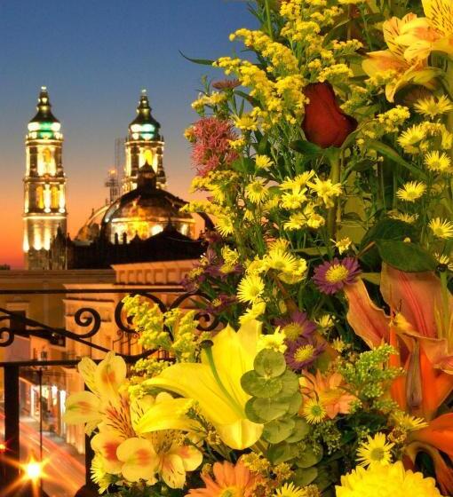 هتل Plaza Colonial