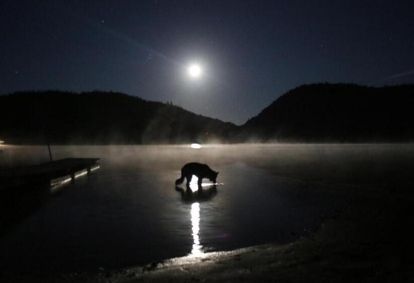 호텔 Auberge Cap Au Leste