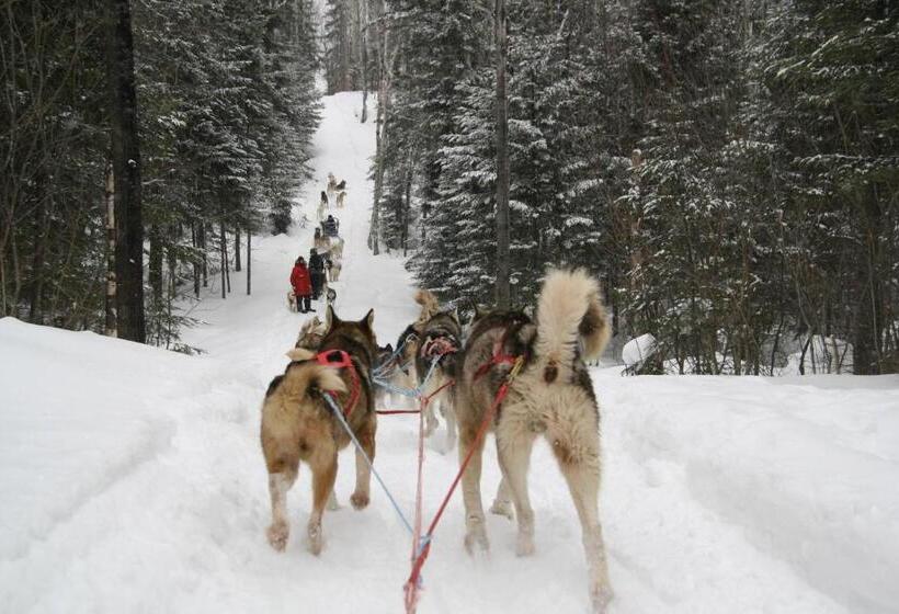 호텔 Auberge Cap Au Leste