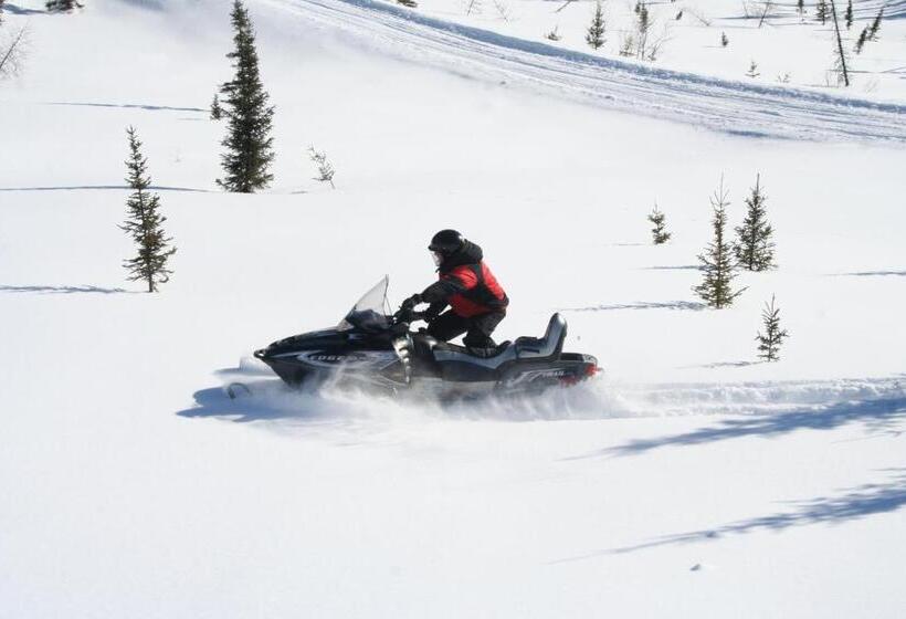 호텔 Auberge Cap Au Leste