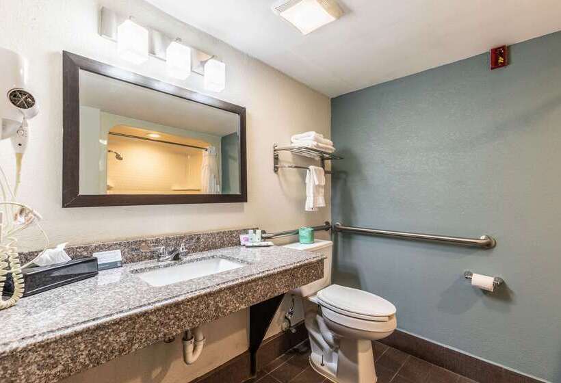 酒店 Quality Inn Memphis Northeast Near I40