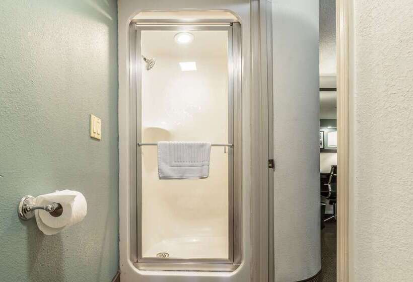 酒店 Quality Inn Memphis Northeast Near I40