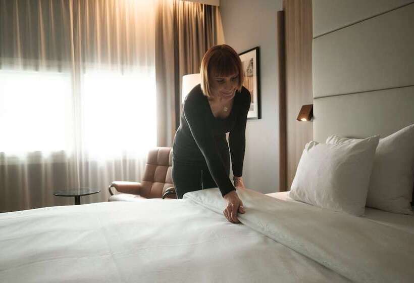 ホテル Radisson Blu Airport Terminal