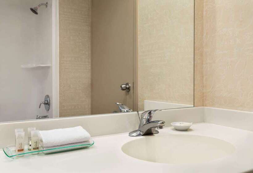 Royal Hotel Calgary, Trademark Collection By Wyndham