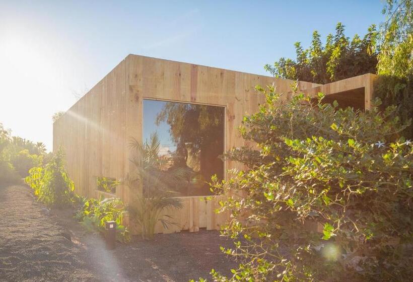 فندق ريفى Surfescape Fuerteventura