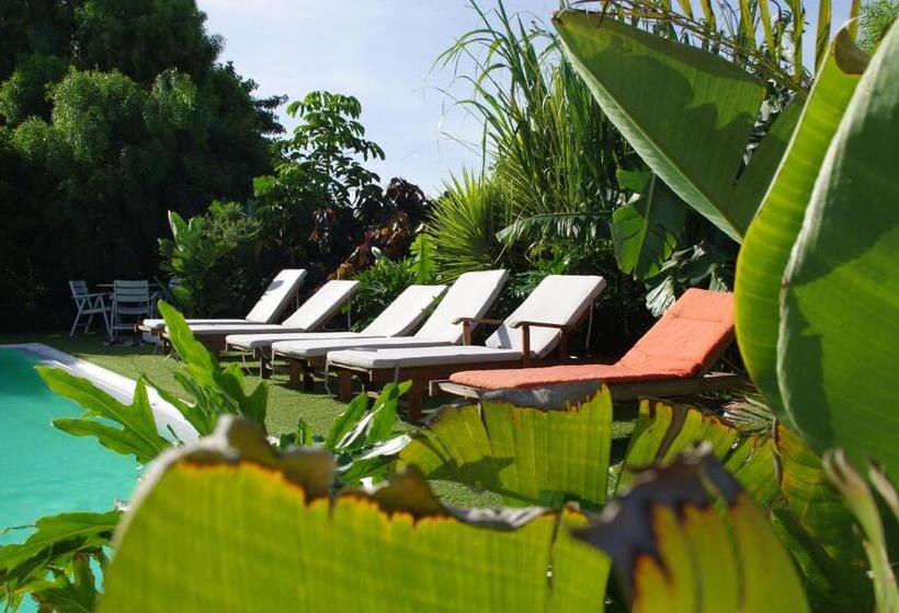 فندق ريفى Surfescape Fuerteventura