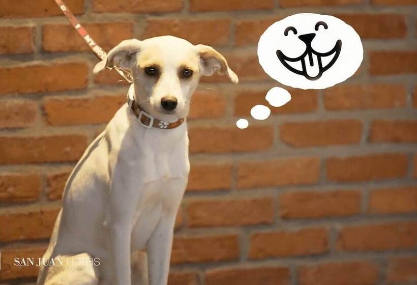 Отель Johnscher By Sj   San Juan Curitiba