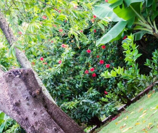 فندق Sj Tour San Juan Foz Do Iguaçu