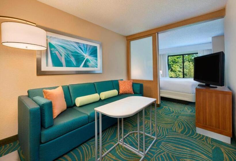 בית מלון כפרי Springhill Suites Mishawaka University Area