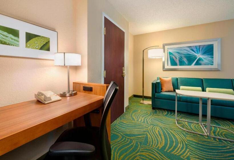 בית מלון כפרי Springhill Suites Mishawaka University Area