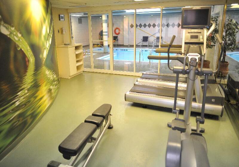 בית מלון כפרי Springhill Suites By Marriott Old Montreal