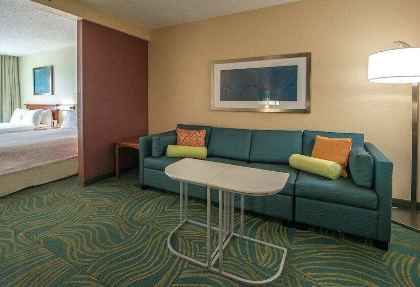 ホテル Springhill Suites By Marriott Orlando North Sanford