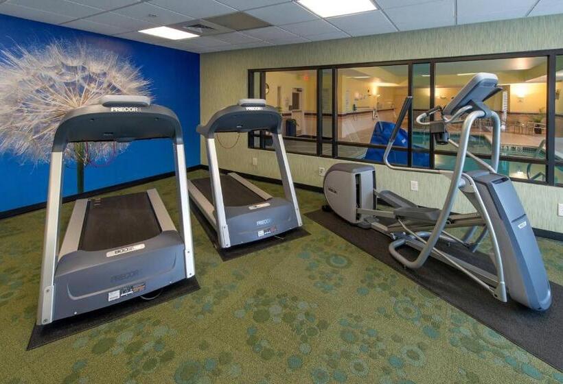 בית מלון כפרי Springhill Suites By Marriott Greensboro
