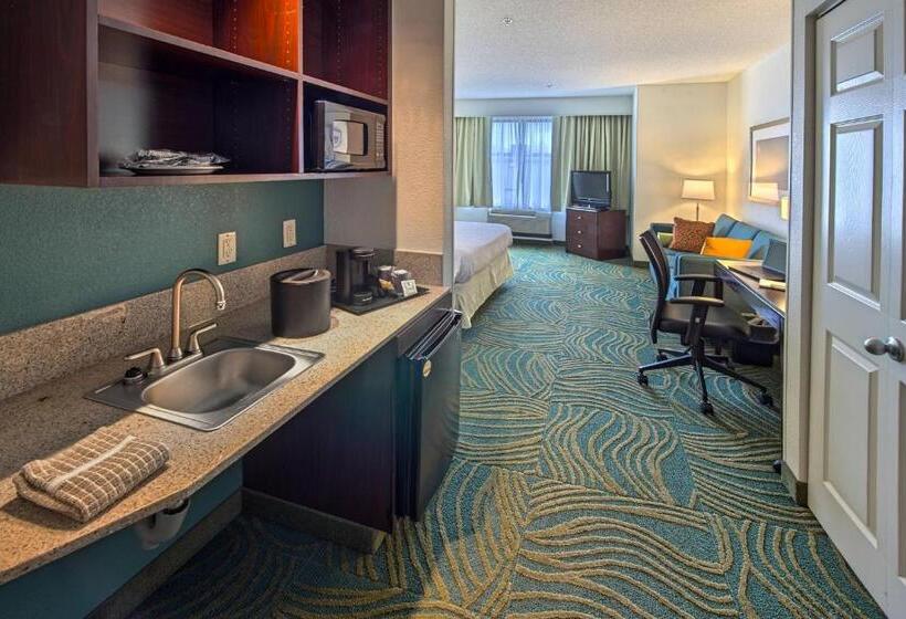 هتل Springhill Suites By Marriott Greensboro