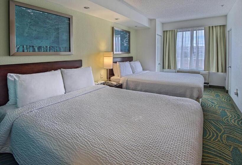 בית מלון כפרי Springhill Suites By Marriott Greensboro