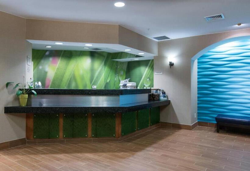 בית מלון כפרי Springhill Suites By Marriott Greensboro