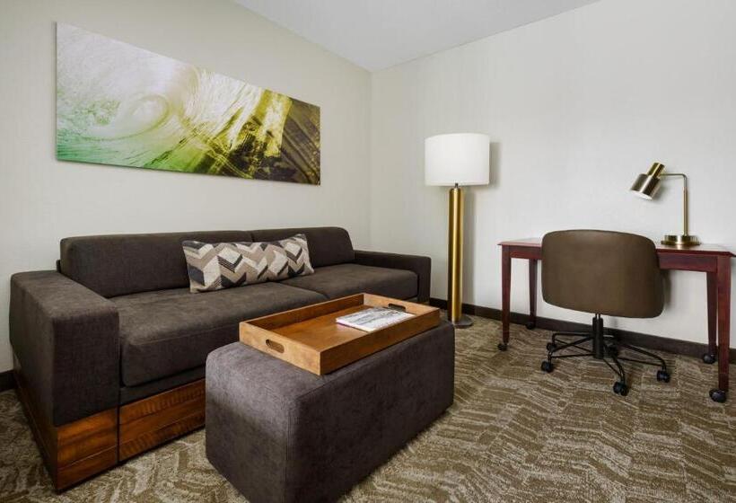 هتل Springhill Suites Manchesterboston Regional Airport