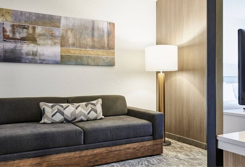 هتل Springhill Suites Phoenix Tempe Airport